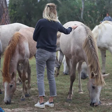 Le Grand Sauvage - Domaine En Camargue Hotel Saintes-Maries-de-la-Mer