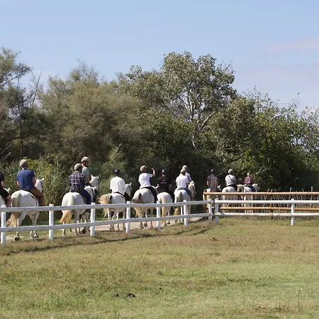Le Grand Sauvage - Domaine En Camargue Hotel 3*